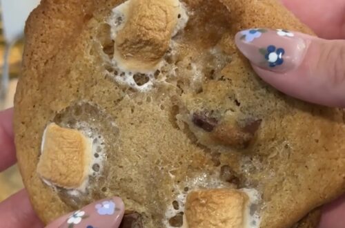 chewy smores cookies